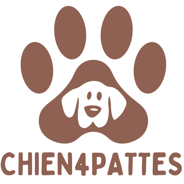 Chien4pattes